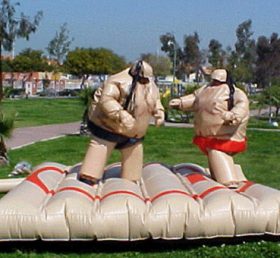 T11-125 Boxning sumo set